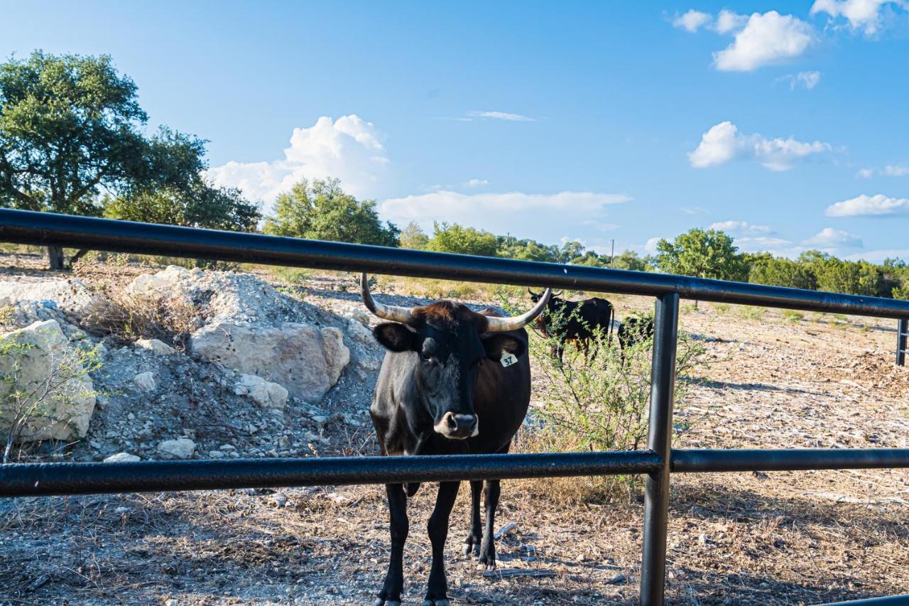 Gruene Daze Chalet - Stylish Aframe - Escape The Ordinary New Braunfels Luaran gambar